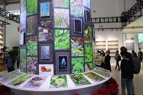 动物朋友展览区展览区币获得途径有哪些