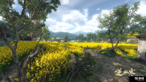 烟雨江湖丁小麻子杭州支线任务攻略