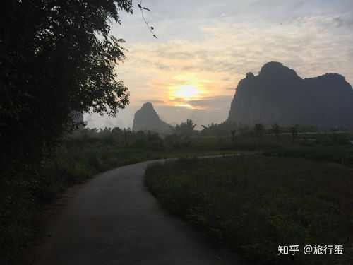 最强蜗牛地缝商人在哪 地缝商人找不到