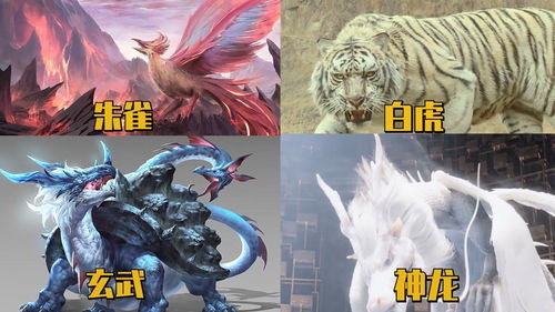 千秋辞神兽选择攻略 玉麒麟还是玄武