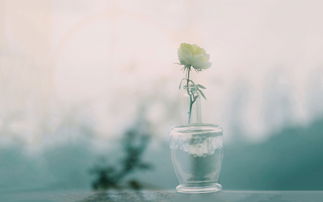 离玥传零下记忆怎么重新开始