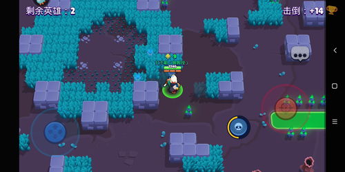 荒野乱斗开箱技巧 教你掌握开箱爆率