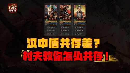 三国志战略版司马陷阵盾阵容详解攻略