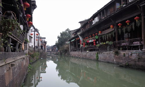 江南百景图三白酒怎么获得 三白酒有什么用