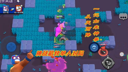 荒野乱斗英雄怎么升10级