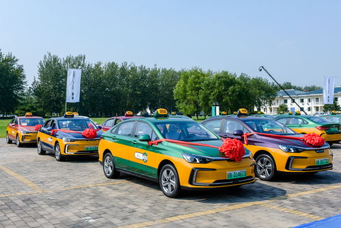 江南百景图出租马车怎么换