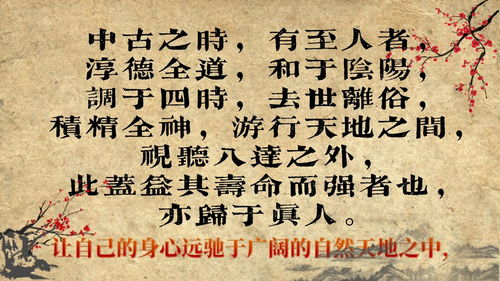 我的侠客怎么降低仁义值