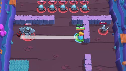 荒野乱斗皮肤图鉴 皮肤性价比