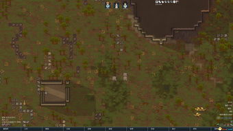 幸存绿洲突围新手开局怎么玩