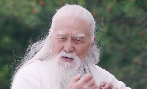 我的侠客张三丰怎么样