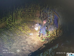 我的侠客小溪深处机关顺序是什么