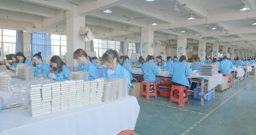 最强蜗牛博物馆收益怎么领取