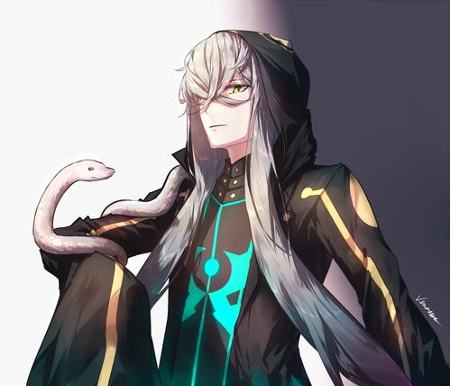 FGO2.4什么时候开