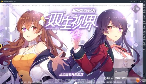 双生视界属性克制