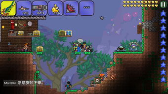 泰拉瑞亚蒙眼布怎么获得