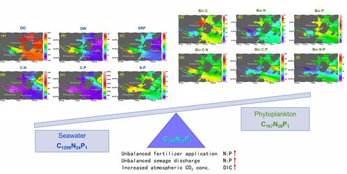 最强蜗牛华夏特性是什么 华夏特性怎么得