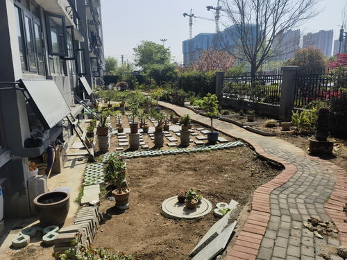 江南百景图私人花园怎么得