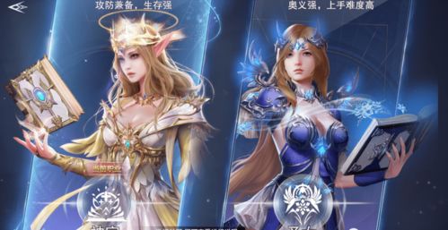 新神魔大陆刺客转职选哪个