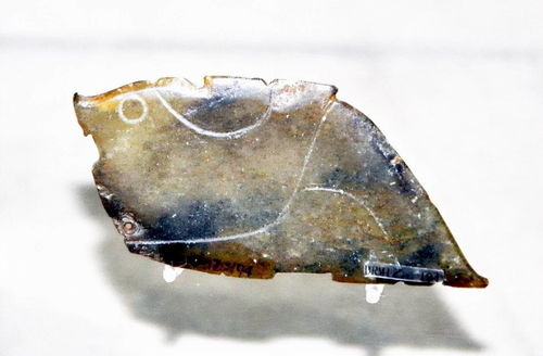 最强蜗牛考古学者藏宝图买不买