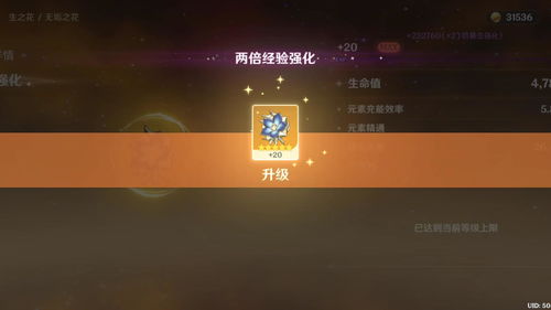 原神圣遗物满级多少级 最高能升到几级