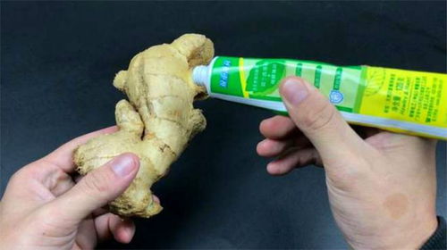 最强蜗牛防腐肠道石怎么获得