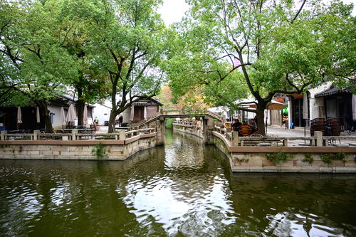 江南百景图凤凰给谁用