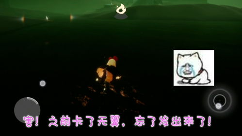 Sky光遇季卡购买建议 主卡和副卡买哪个好