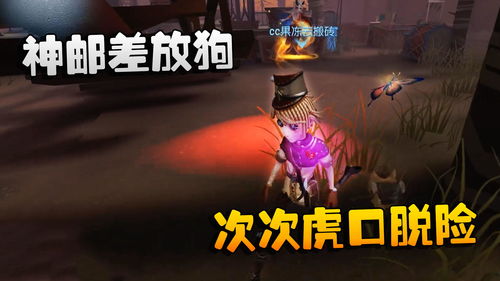第五人格新版本邮差怎么玩 第五人格新版本邮差放狗流