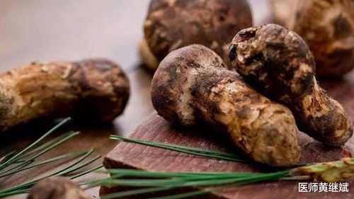 光遇雨林鸟蛋有什么用