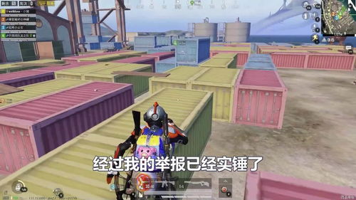 和平精英全队数据怎么开