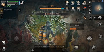 明日之后樟树叶怎么获得