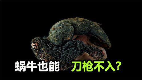 最强蜗牛地球意志的耳蜗怎么样 地球意志的耳蜗攻略