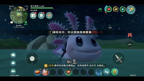 创造与魔法顽皮蝾螈在哪刷