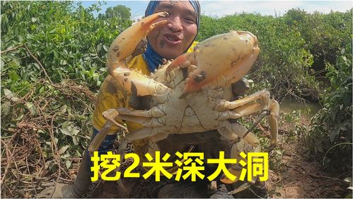 光遇掀翻5只螃蟹怎么做