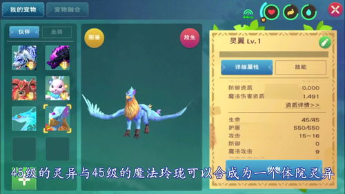 创造与魔法黄豆宠物粮怎么做