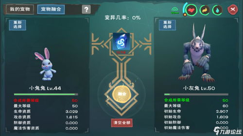创造与魔法蜂蜜蜜饯怎么做