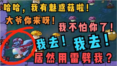 最强蜗牛英伦怎么招募水手 水手在哪里招募