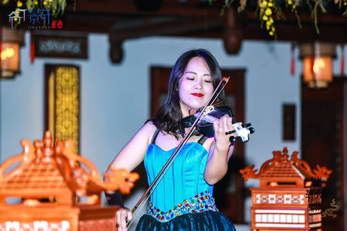 光遇梅花桩怎么去 梅花桩在哪