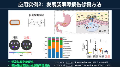 最强蜗牛天网中枢怎么得 天网中枢怎么样