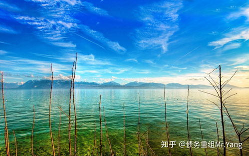 大千世界遗忘之水在哪 遗忘之水位置与获取方法解析