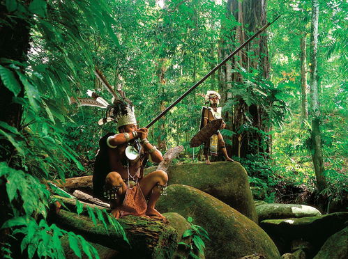 光遇日月岛怎么进单人