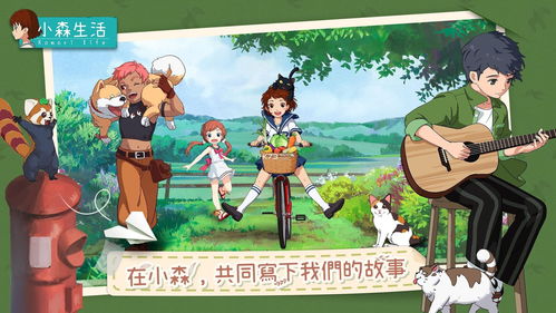 小森生活金鸡在哪里 小森生活金鸡有什么用