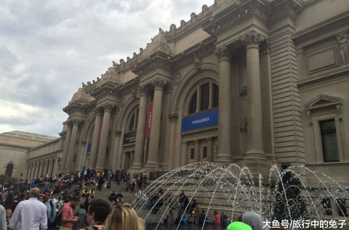 绮世裁缝铺葱波波怎么样 葱波波怎么获得