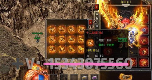 元气众生录炼丹大会怎么玩 炼丹大会玩法攻略