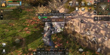 龙之谷2铁矿哪里挖 铁矿采集位置推荐