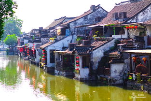 烟雨江湖忘忧村怎么去 怎么回忘忧村