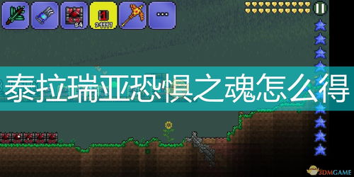 泰拉瑞亚皇冠怎么合成 泰拉瑞亚皇冠怎么样