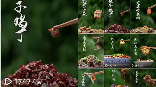 江南百景图桐油种植园有什么用 江南百景图桐油种植园加成