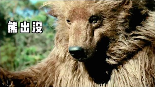 最强蜗牛赤兔母马剧情 赤兔母马惊喜礼物怎么获得