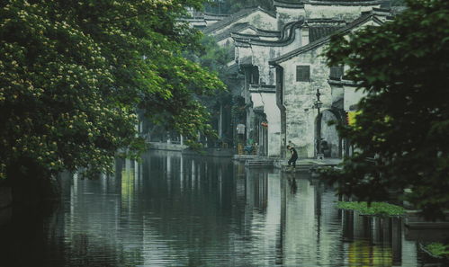 江南百景图大和抚子 江南百景图大和抚子怎么用